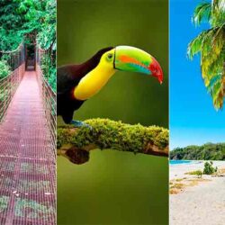 Luxury Tourism is Promoted as One of the Most Sought After Experiences in Costa Rica