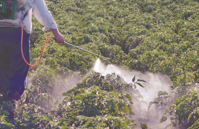 Photo of Centroamérica y República Dominicana solicitan registro conjunto de biocidas – Versión en español