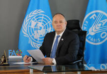 UN Report: Latin America and the Caribbean Advances In Eradicating Hunger for the Fourth Consecutive Year