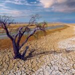 Crisis climatica