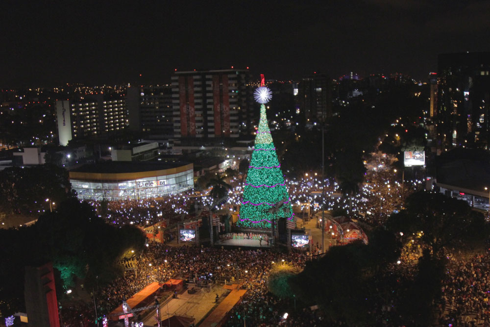 El Festival Árbol Gallo llevará el espíritu de las fiestas de fin de