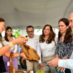 sICT-entrega