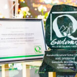 sRenuevan-certificaciones