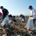 sVoluntarios