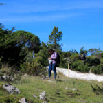Presentan