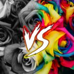 color-vs-gris