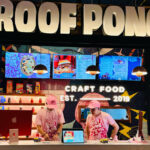 Roof-Pong