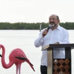Renacimiento Maya3