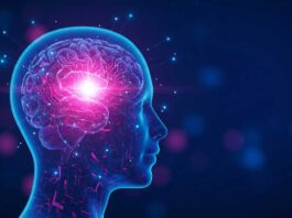 Innovación en el tratamiento de la epilepsia: Alternativas a la medicación buscan restablecer y reparar el cerebro, explica experto