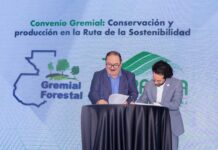 Encuentro Forestal 2025 impulsa innovación y sostenibilidad para el desarrollo del sector