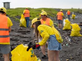 Voluntarios de EPA recolectan 341 kg de residuos en playa el Paredón