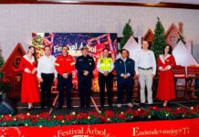 El Festival Árbol Gallo 2025 trae la magia a las fiestas de Fin de Año