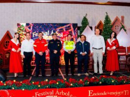 El Festival Árbol Gallo 2025 trae la magia a las fiestas de Fin de Año