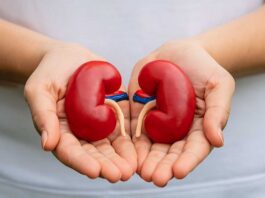 Expertos de Mayo Clinic desmitifican 5 mitos sobre la donación de riñones en vida