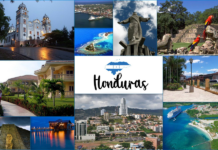 Canaturh confía en que nuevo gobierno impulse el turismo