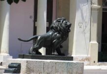 Leones del Prado atrapan a turistas en Cuba
