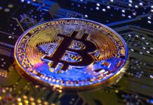 Riesgos y fraudes en el mundo cripto 2025