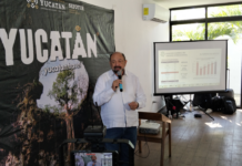 Yucatán cerrará este 2025 con más de 2.5 millones de visitantes