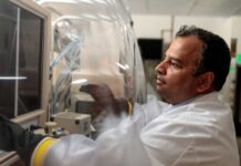 Conozca su microbioma: puede mejorar su salud intestinal y ofrecer otros beneficios, explica experto de Mayo Clinic