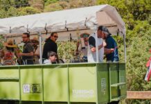 ICT invita a turistear en la Zona de Los Santos con la celebración de la cosecha de café 2025-2026