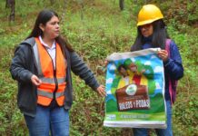 INAB reconoce y promueve el liderazgo de la mujer en el sector forestal de Guatemala
