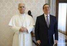 Recibió el Papa León XIV al ministro de Relaciones Exteriores cubano