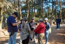60 sitios habilitados para observar aves durante el Centroamérica Big Day 2026
